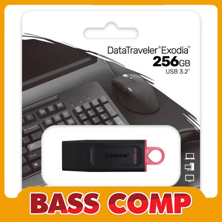 FD KINGSTON 256GB #1